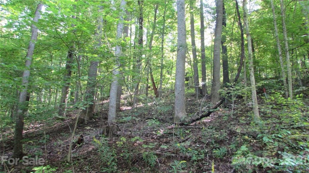 E- 17 Red Wolf Run None - Photo 14