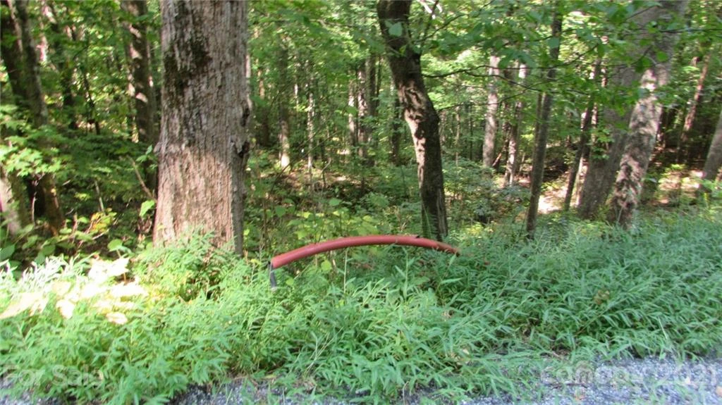 E- 17 Red Wolf Run None - Photo 3