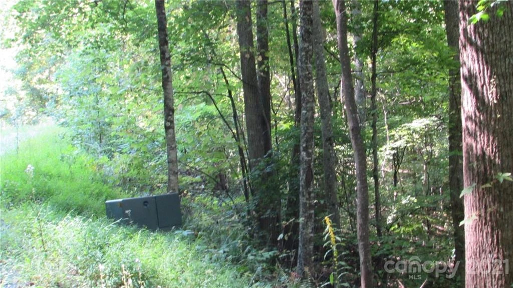 E- 17 Red Wolf Run None - Photo 4