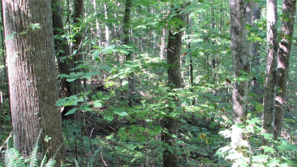 E- 17 Red Wolf Run None - Photo 5