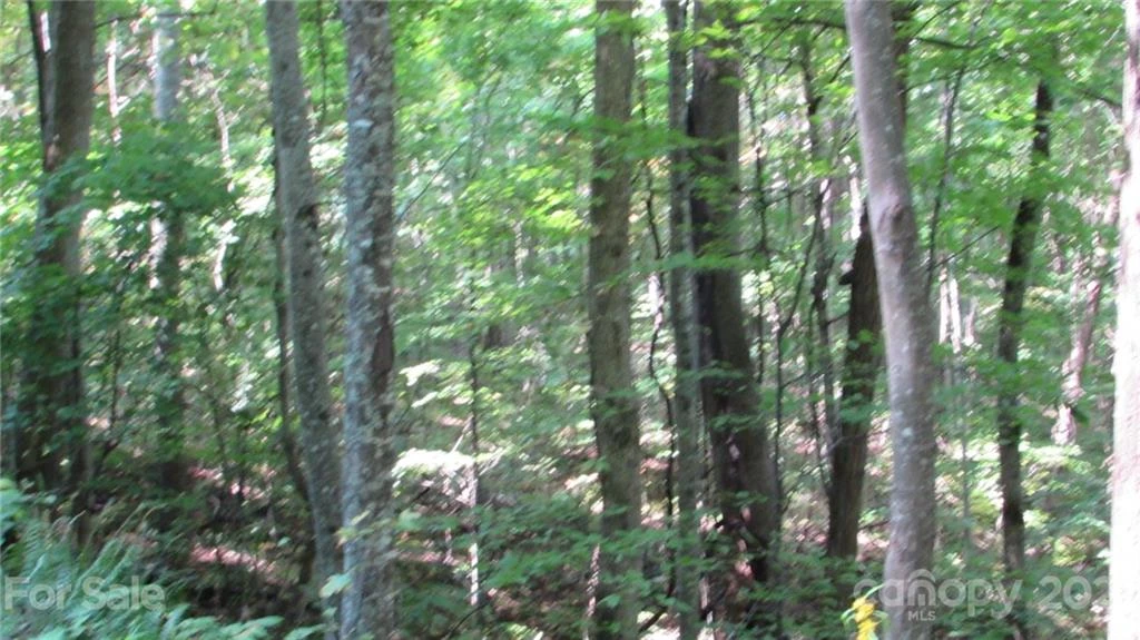 E- 17 Red Wolf Run None - Photo 6