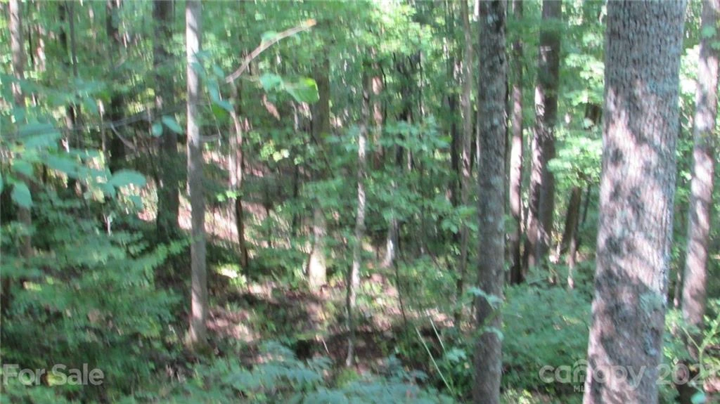 E- 17 Red Wolf Run None - Photo 7
