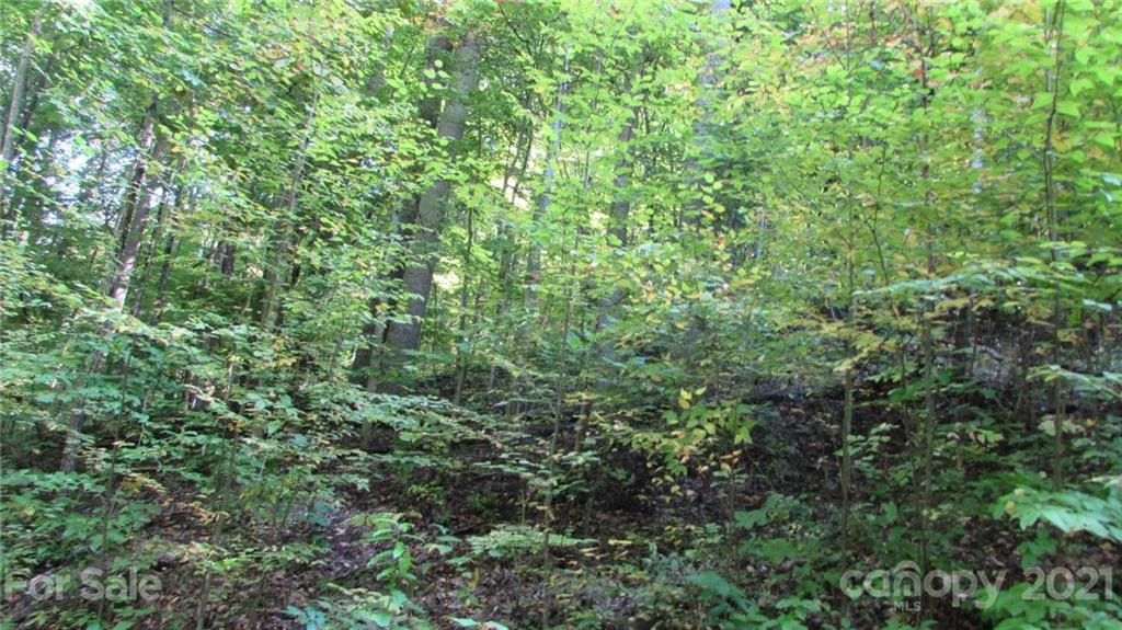 E- 17 Red Wolf Run None - Photo 9