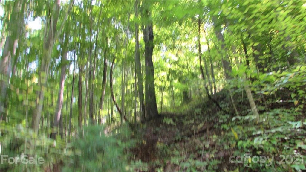 E- 17 Red Wolf Run None - Photo 10