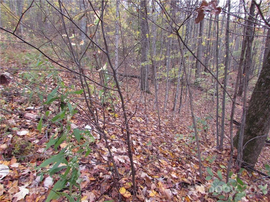 E- 20 Red Wolf Run None - Photo 2