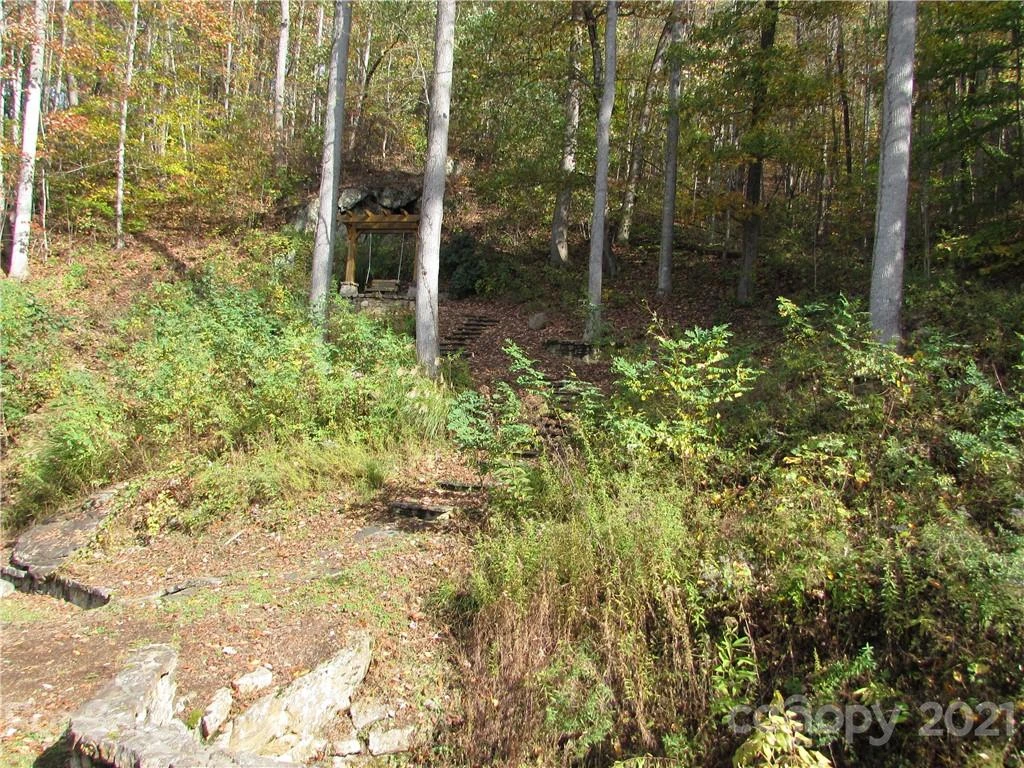 E- 20 Red Wolf Run None - Photo 19
