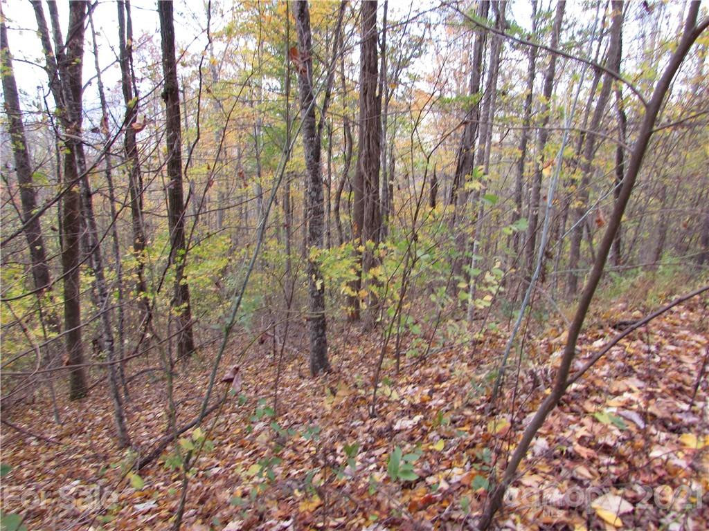 E- 20 Red Wolf Run None - Photo 3