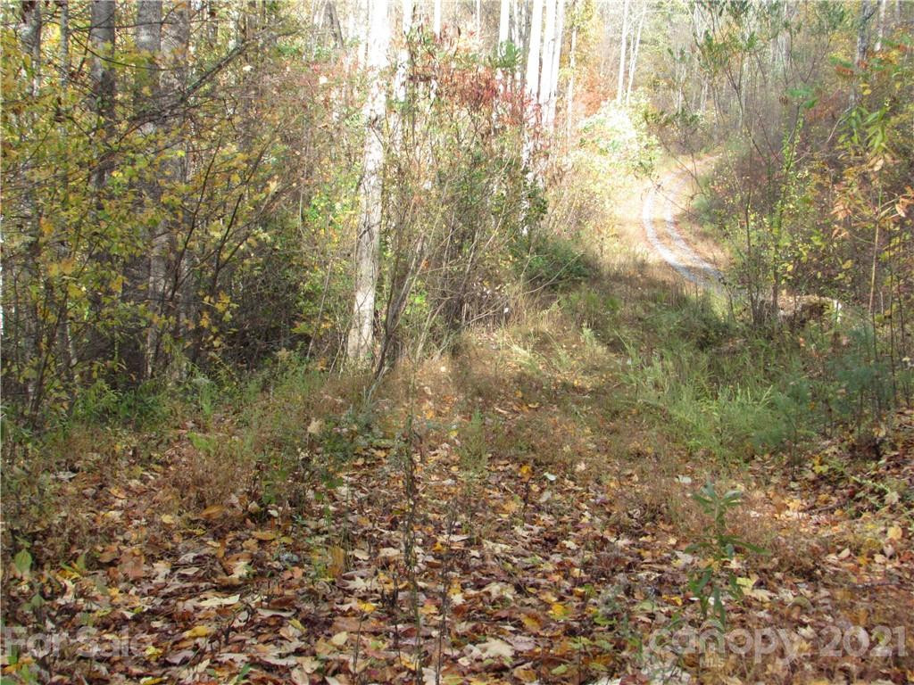 E- 20 Red Wolf Run None - Photo 4