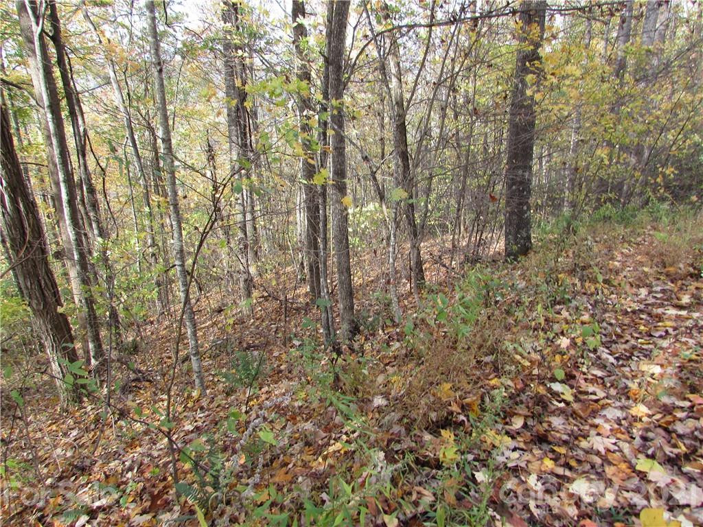 E- 20 Red Wolf Run None - Photo 5