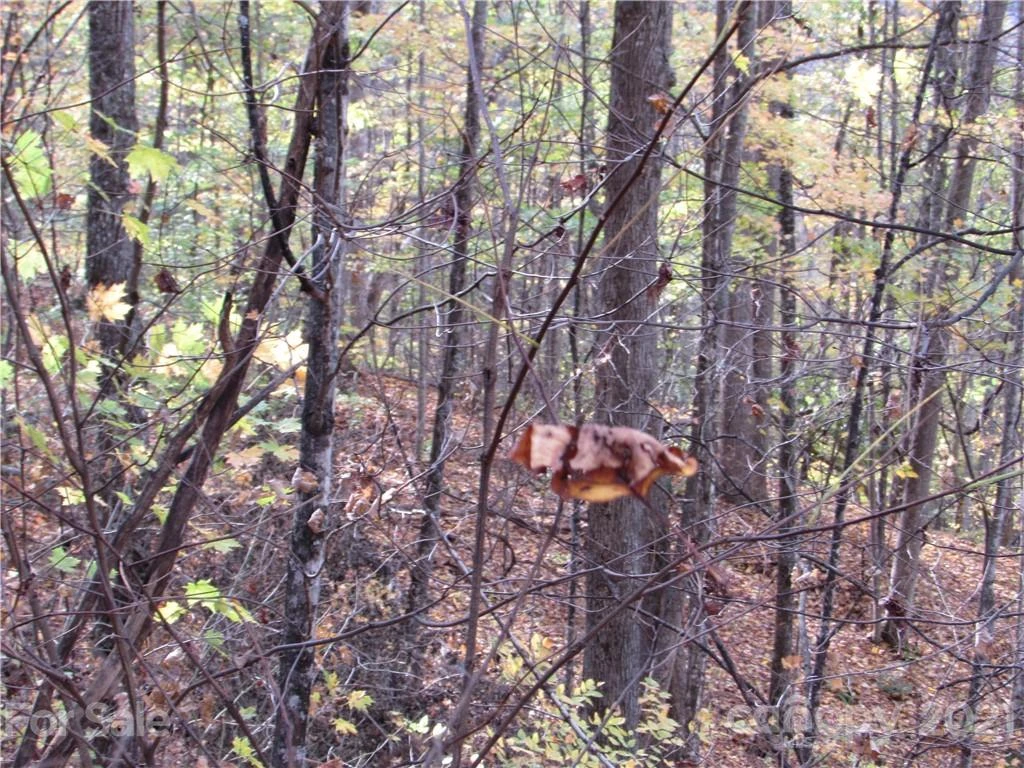 E- 20 Red Wolf Run None - Photo 7