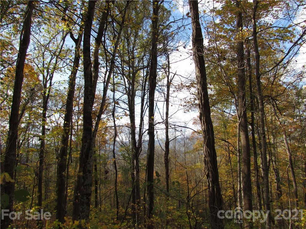 E- 20 Red Wolf Run None - Photo 8