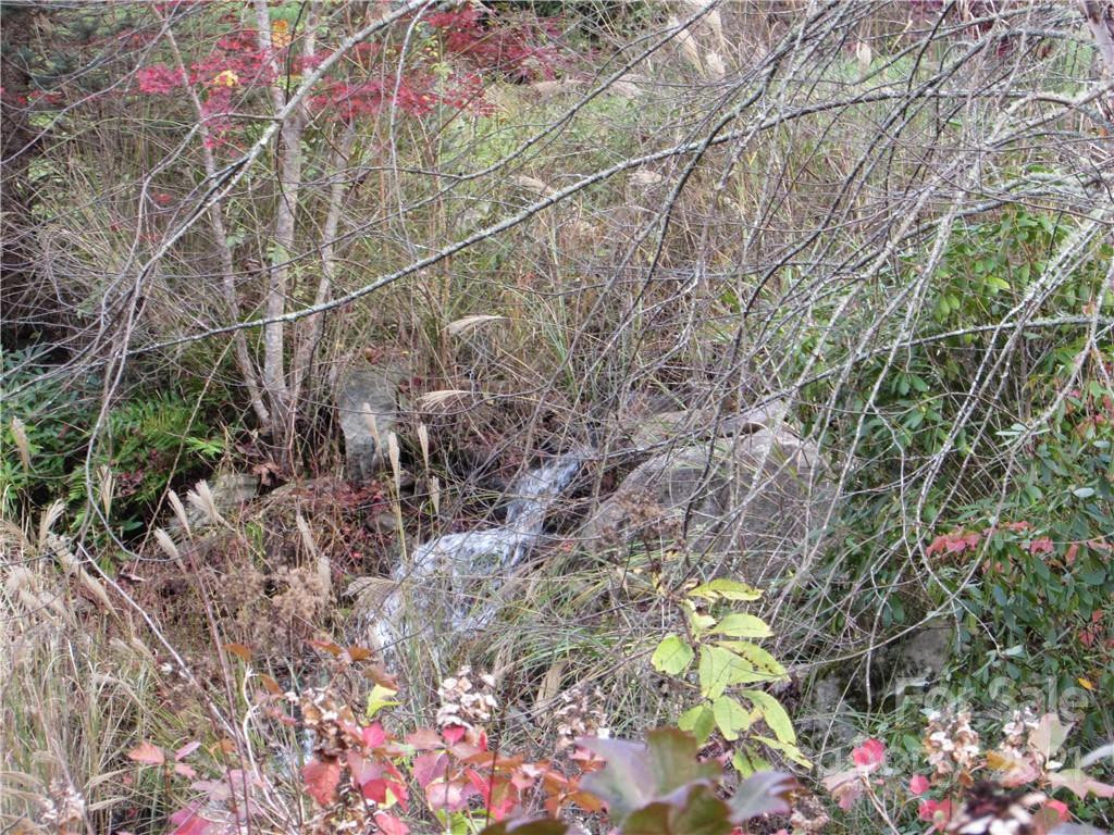 E- 19 Red Wolf Run None - Photo 14