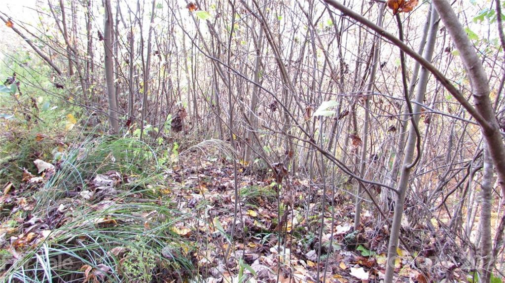 E- 19 Red Wolf Run None - Photo 3