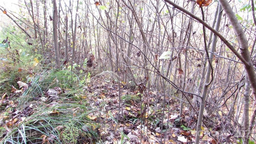 E- 19 Red Wolf Run None - Photo 3