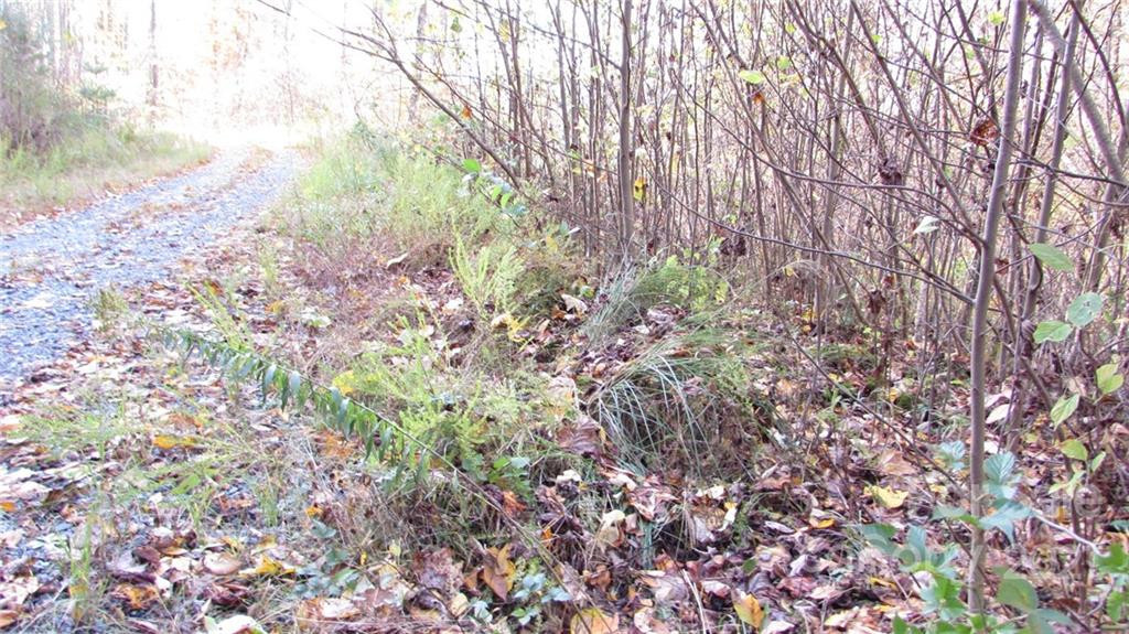 E- 19 Red Wolf Run None - Photo 4