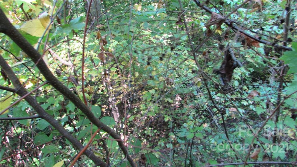 E- 19 Red Wolf Run None - Photo 5