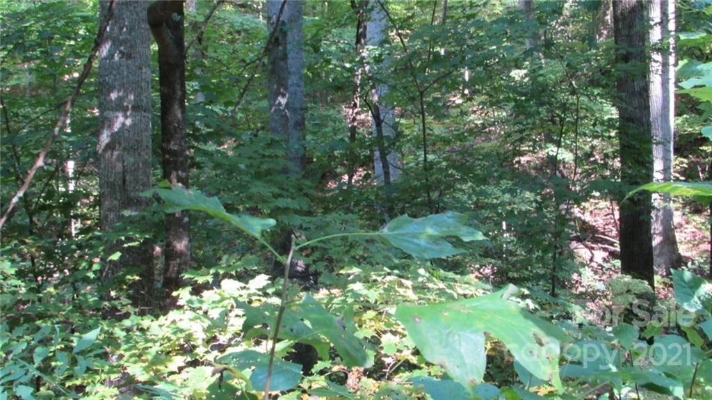 E- 19 Red Wolf Run None - Photo 7