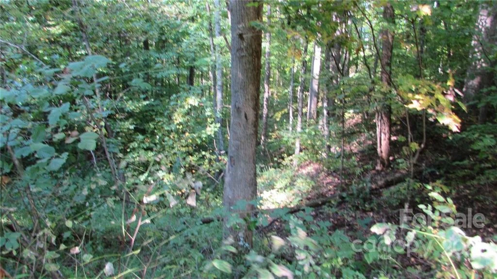 E- 19 Red Wolf Run None - Photo 8