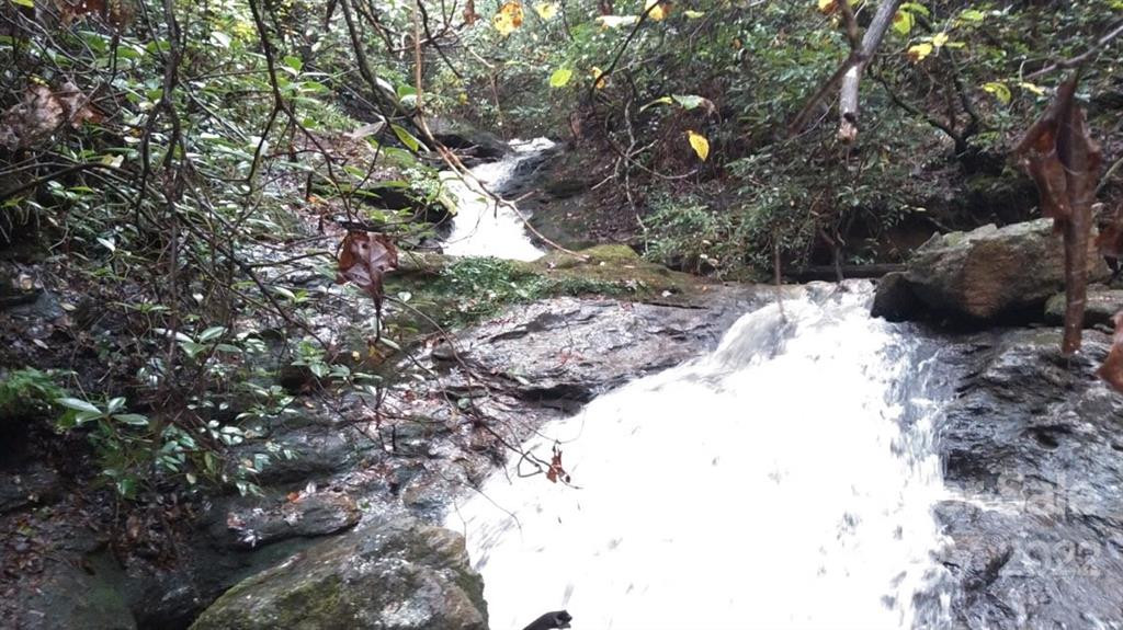 0 Hardin Store Road - Photo 2