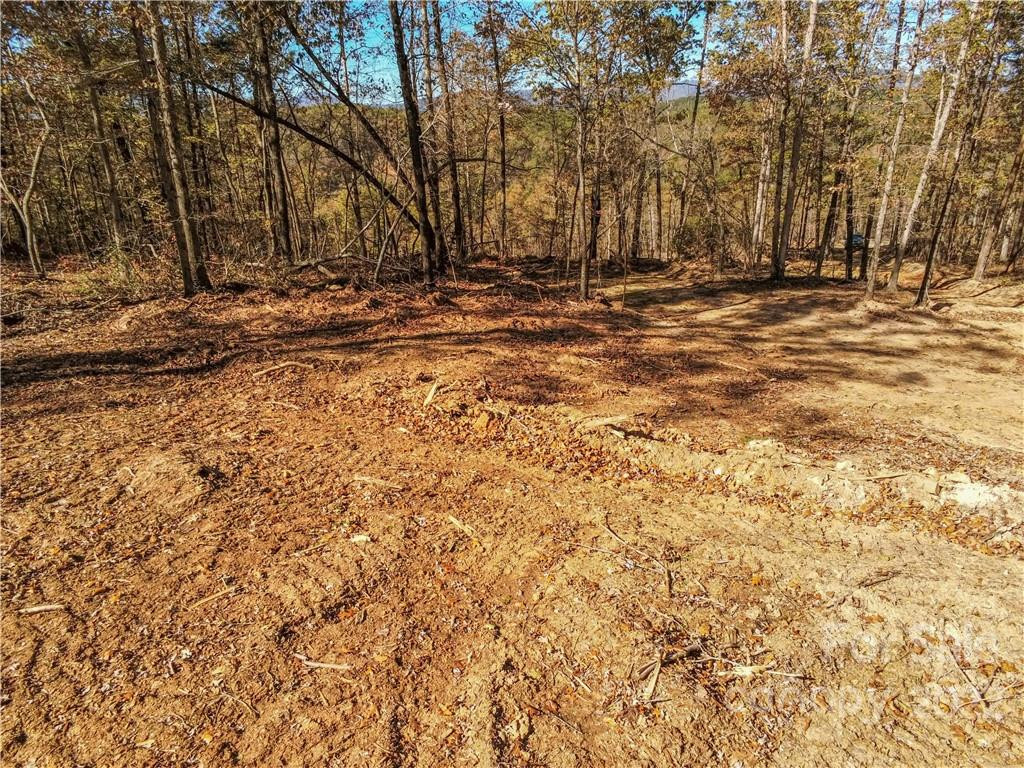 0 Hardin Store Road - Photo 11