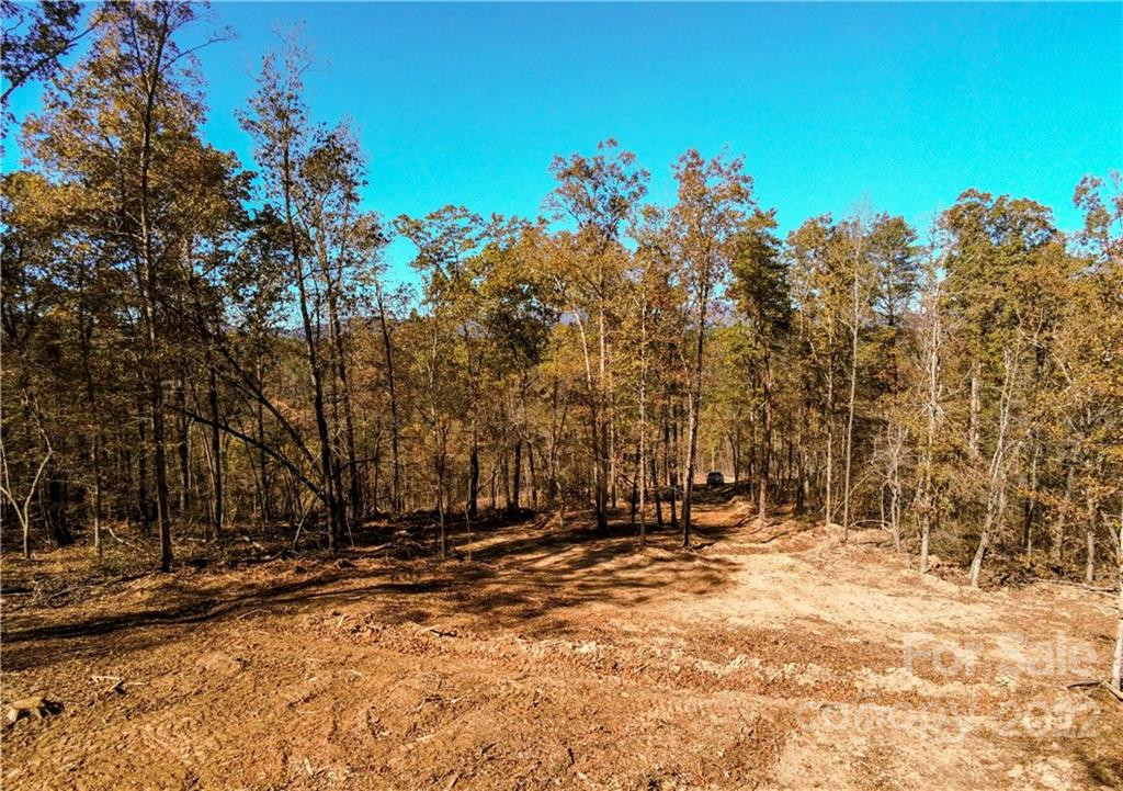 0 Hardin Store Road - Photo 12