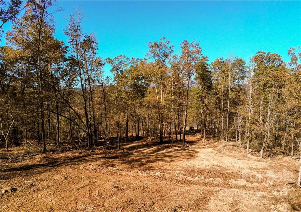 0 Hardin Store Road - Photo 12