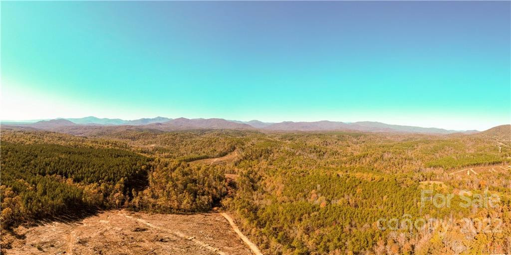 0 Hardin Store Road - Photo 13