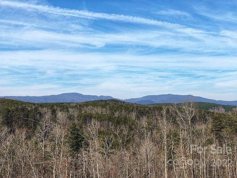 0 Hardin Store Road - Photo 15