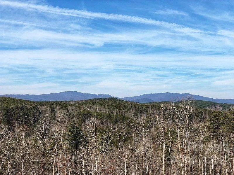 0 Hardin Store Road - Photo 15