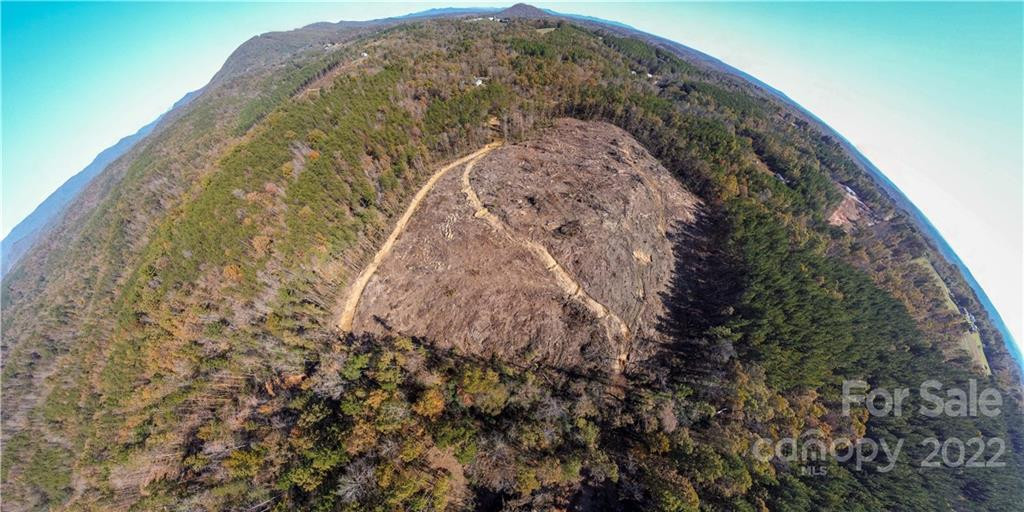 0 Hardin Store Road - Photo 19