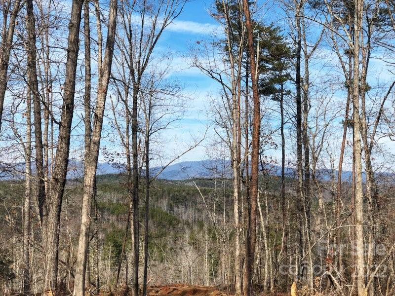 0 Hardin Store Road - Photo 3