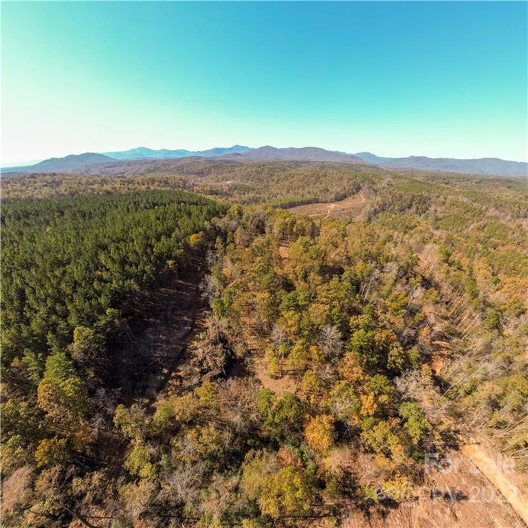 0 Hardin Store Road - Photo 4