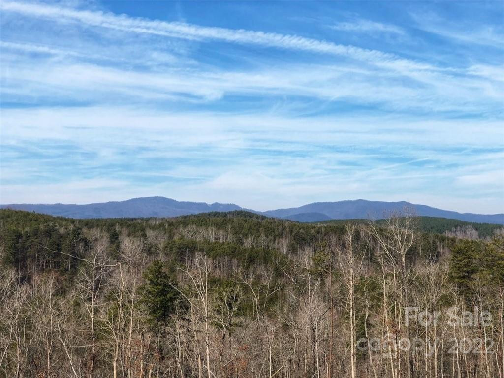 0 Hardin Store Road - Photo 5