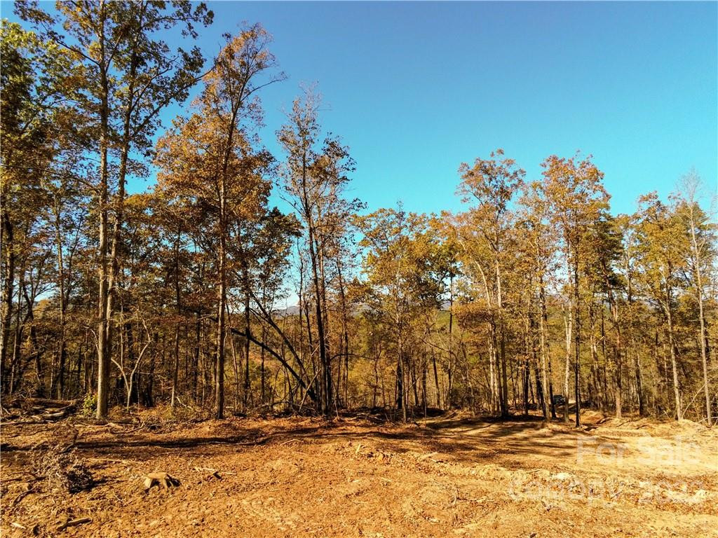 0 Hardin Store Road - Photo 7