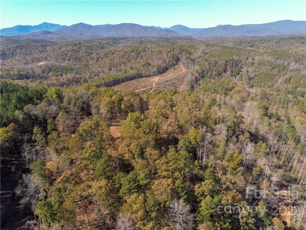 0 Hardin Store Road - Photo 9