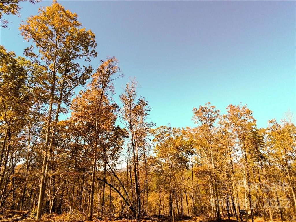 0 Hardin Store Road - Photo 10