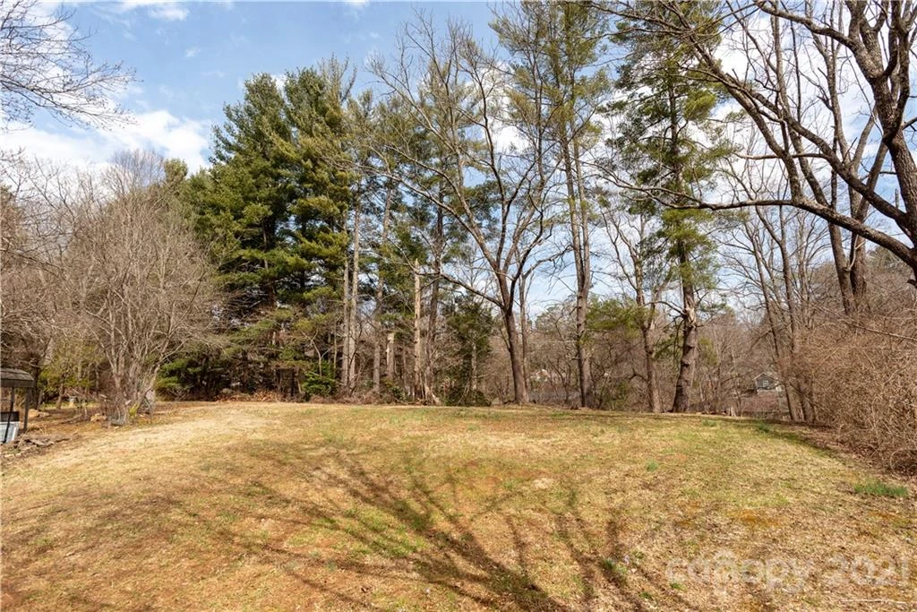93 & 95 Springside Road - Photo 7