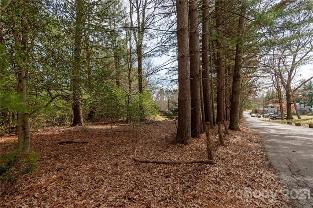93 & 95 Springside Road - Photo 10