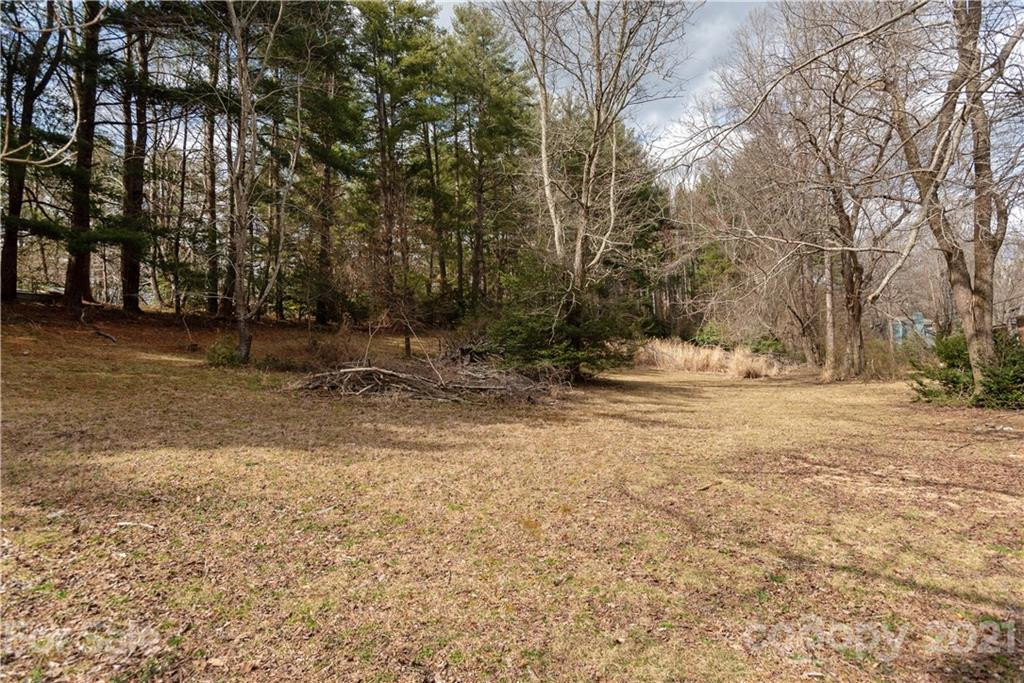 93 & 95 Springside Road - Photo 15