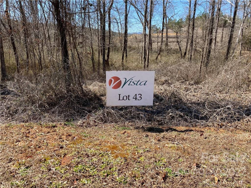 000 Bridge Lane #43 - Photo 2