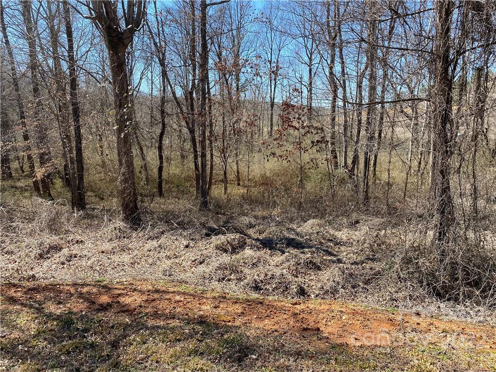 000 Bridge Lane #43 - Photo 3