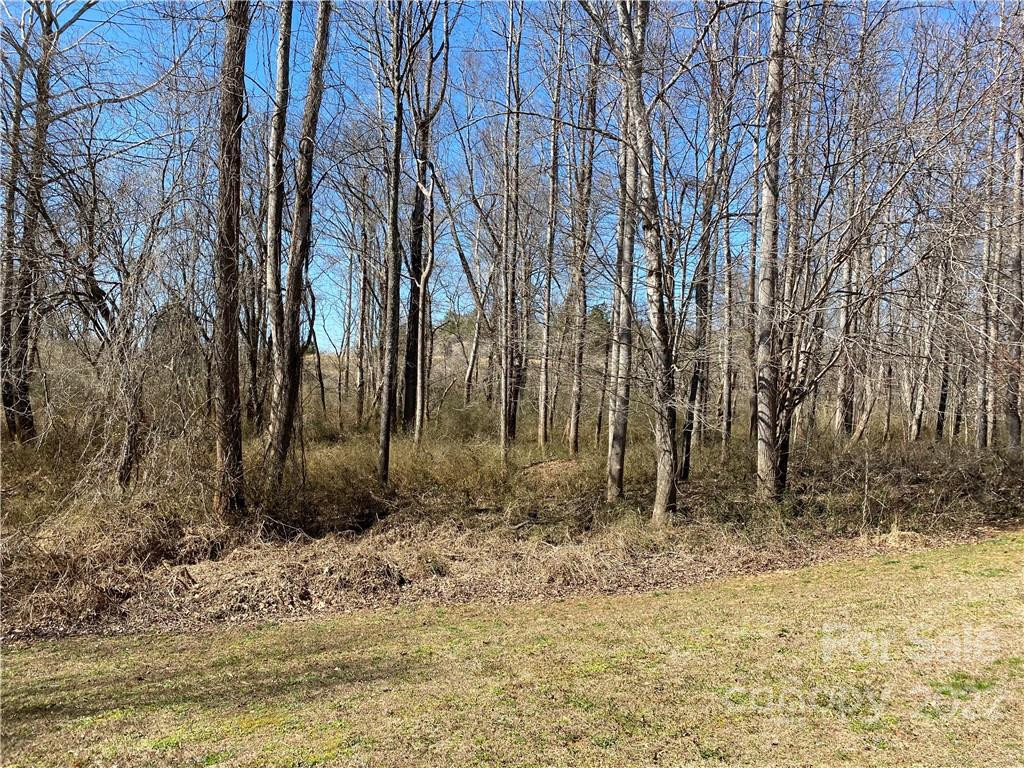 000 Bridge Lane #42 - Photo 3