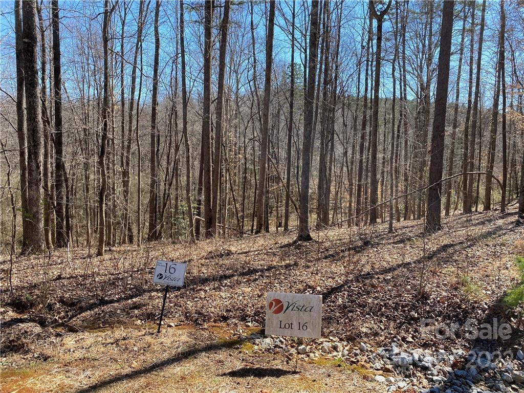 000 Rambling Creek Road #16 - Photo 2