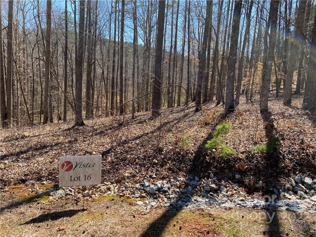 000 Rambling Creek Road #16 - Photo 3