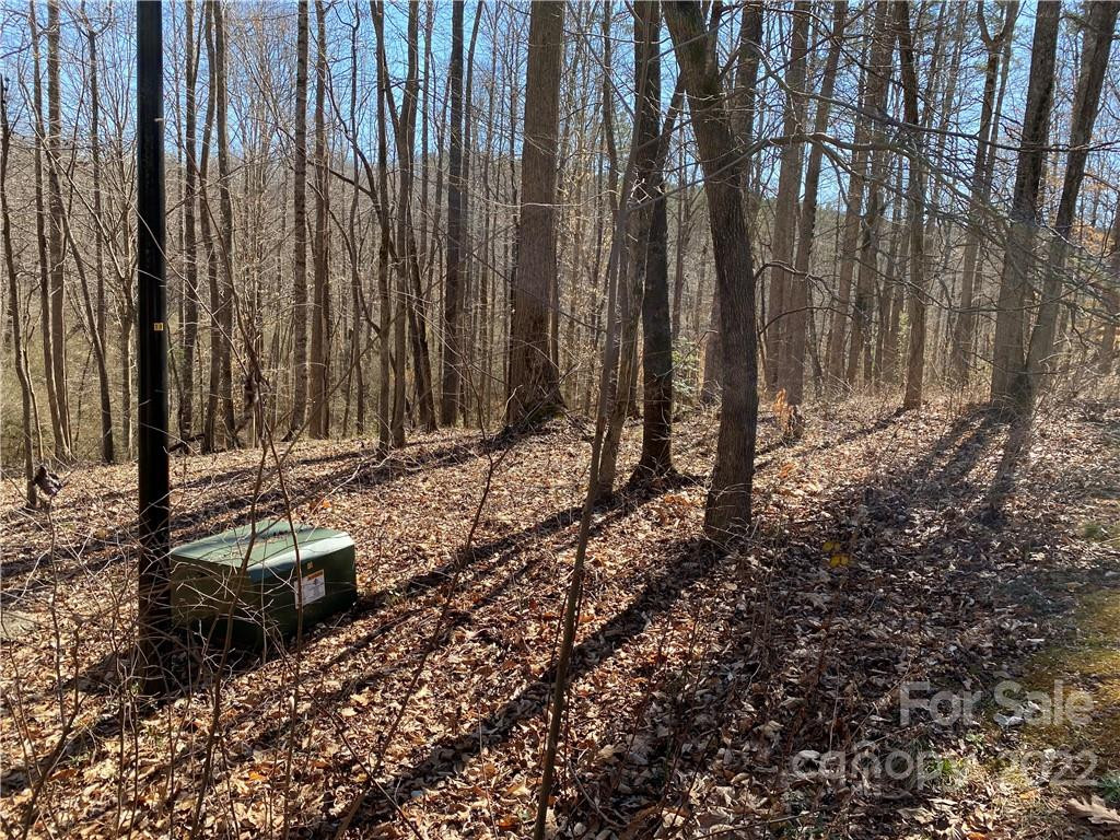 000 Rambling Creek Road #16 - Photo 4