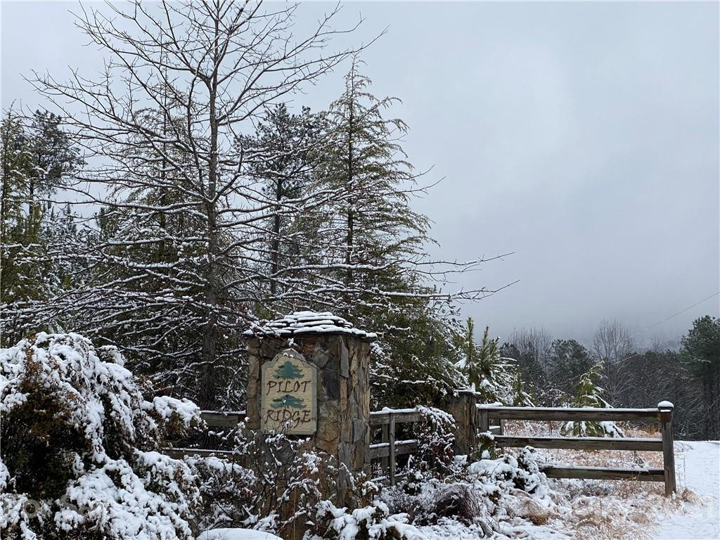 Lot 13 Pilot Ridge Road #13 - Photo 8