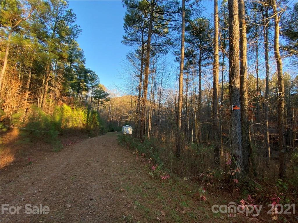 143 Pilot Ridge Road #8 - Photo 31