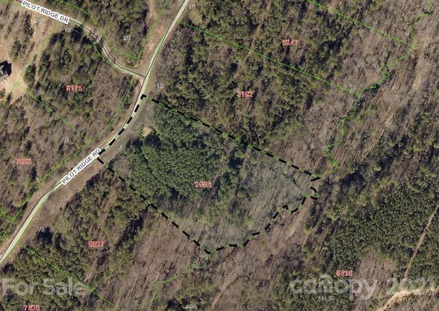 316 Pilot Ridge Road