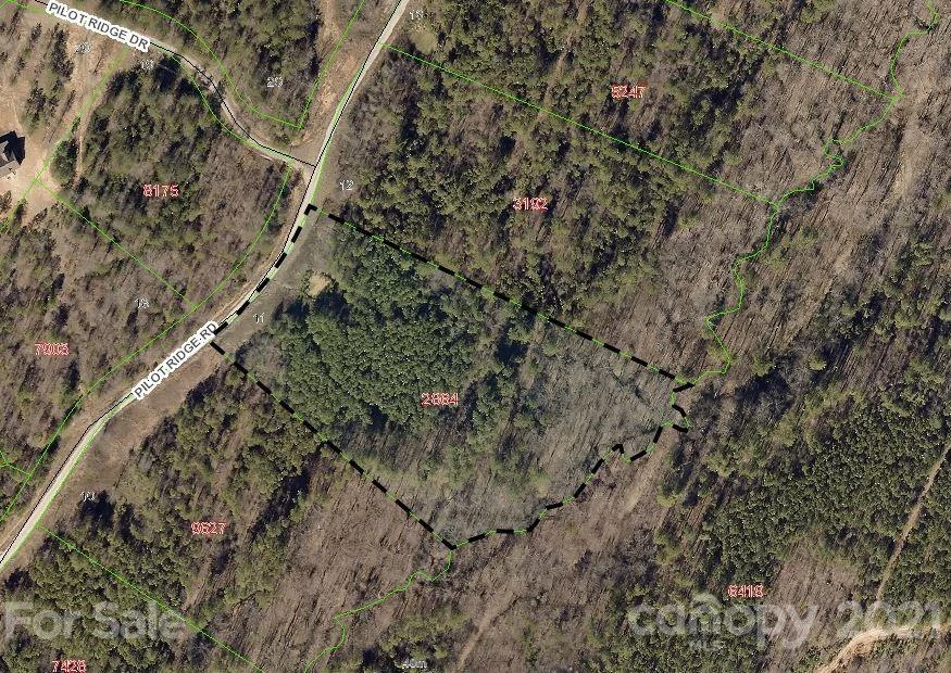 316 Pilot Ridge Road #11
