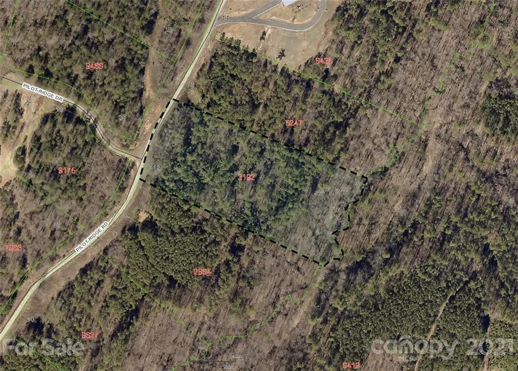 356 Pilot Ridge Road #12 - Photo 3